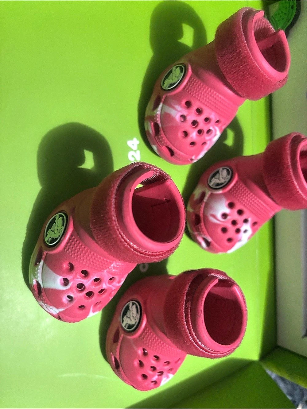 Bark crocs for small dogs